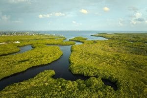Discover the Benefits of Living in Florida During the Winter Everglades
